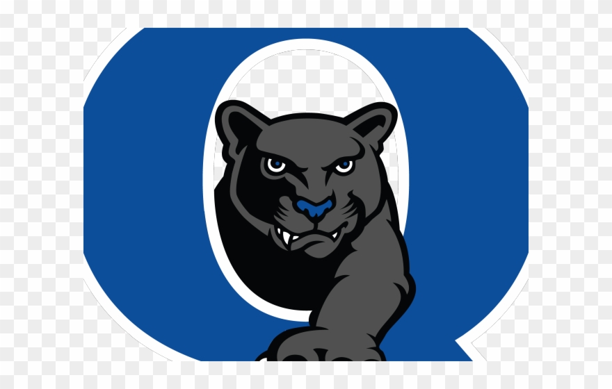 Cougar Clipart Panther Pride - Quakertown School District - Png Download