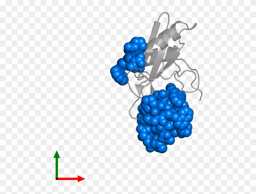 Seedless Fruit Clipart