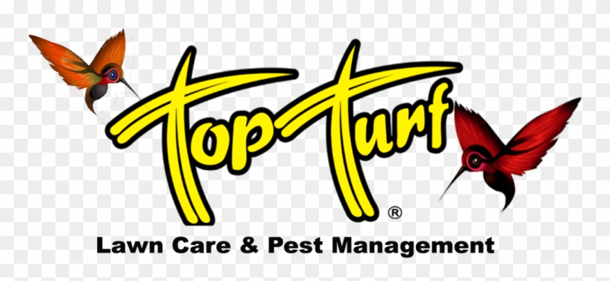 11 Top Turf Lawn Care And Pest Management - Top Turf Clipart
