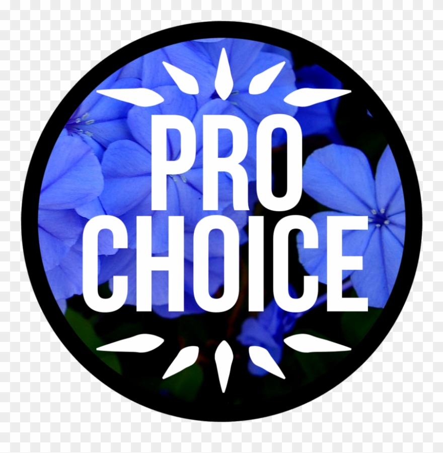 9qgvmz2t248wggkc40c8 Pro Choice Or Life Essay College - Circle Clipart