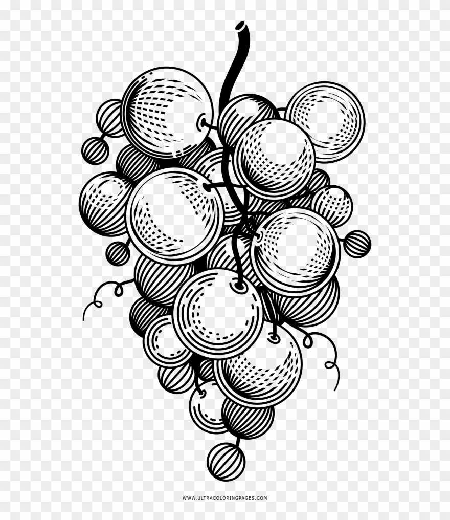 Uvas Página Para Colorear - Line Art Clipart