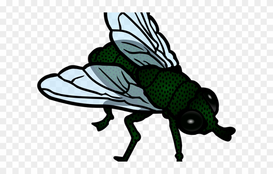 Fly Clipart Little Bug - House Fly Clipart - Png Download