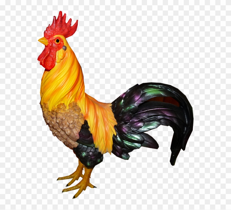 Book Of The Year Of The Rooster - Kogut Png Clipart