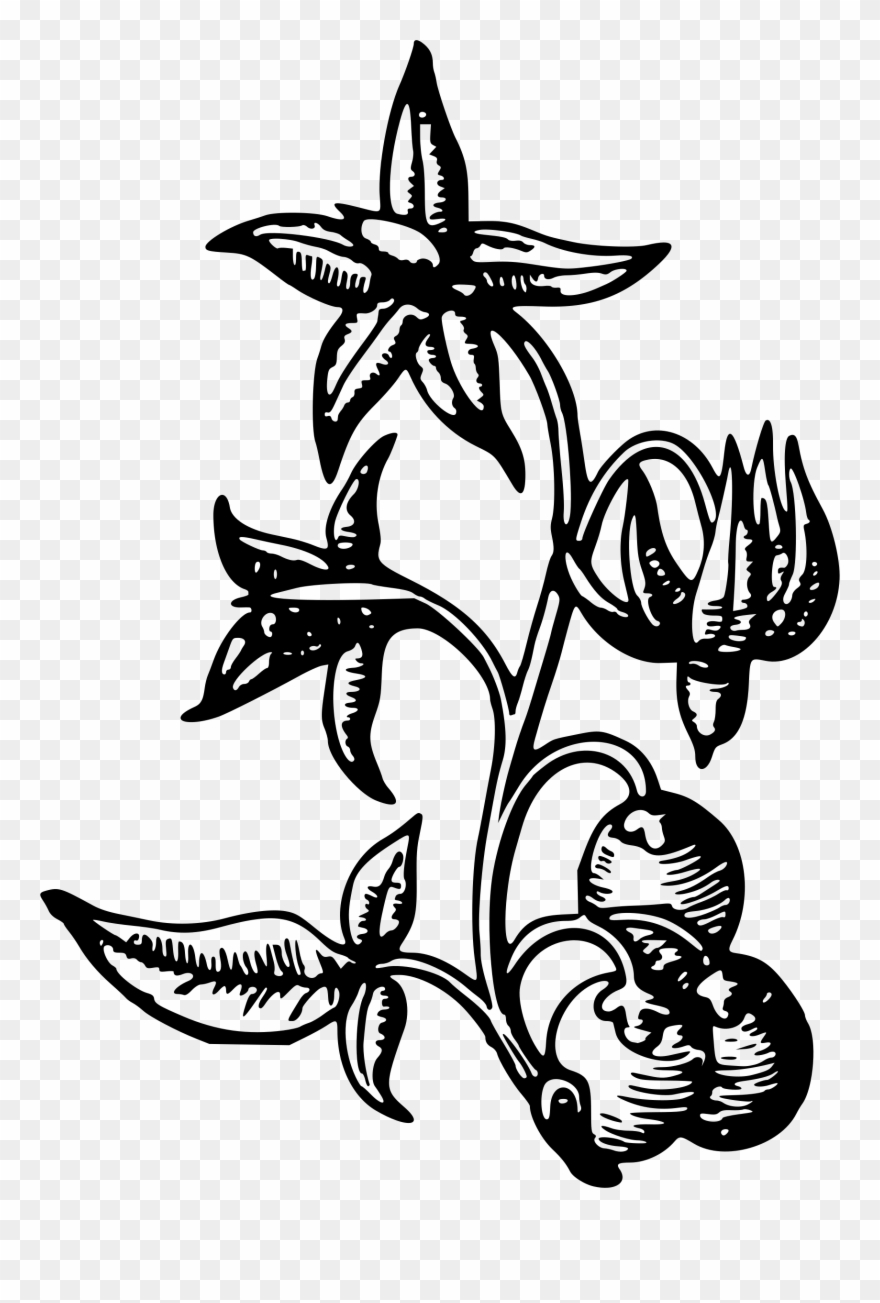 This Free Icons Png Design Of Flower 40 Clipart