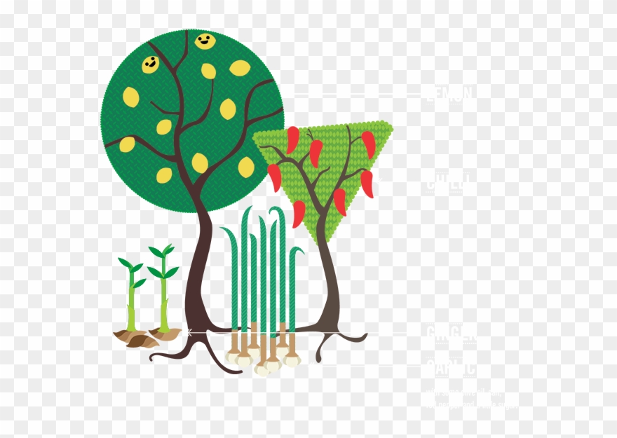 What's Inside Clipart