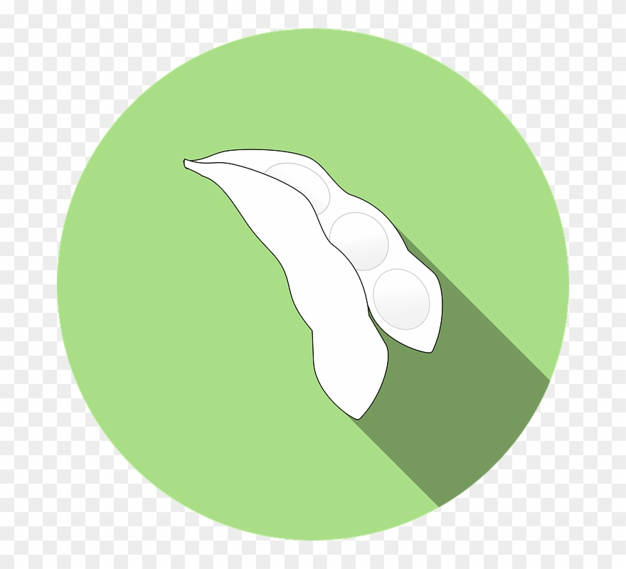 Lima Beans Clipart Chili Bean - Soybeans Icon Png Transparent Png
