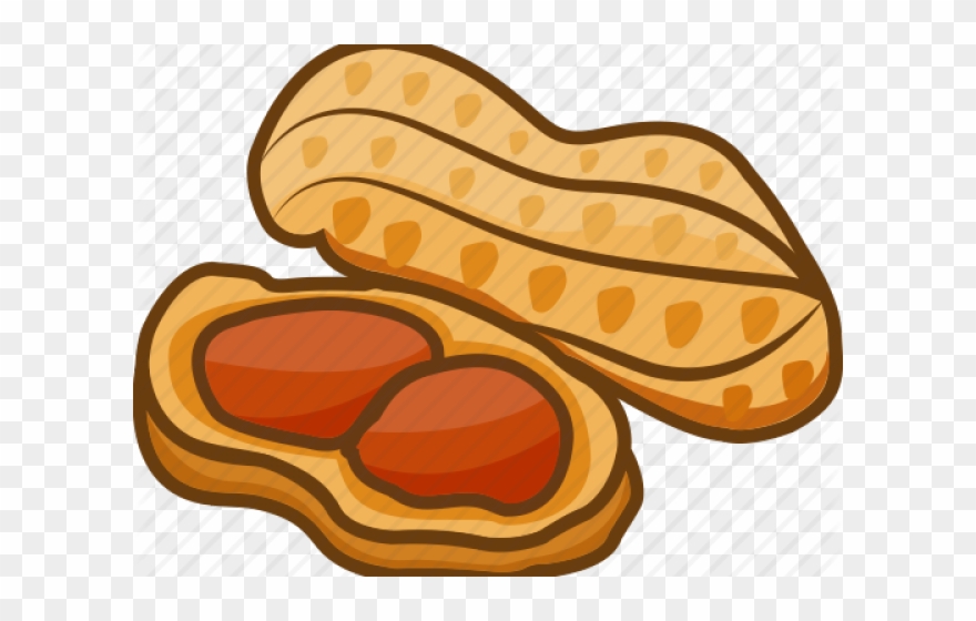 Peanut Clipart - Png Download
