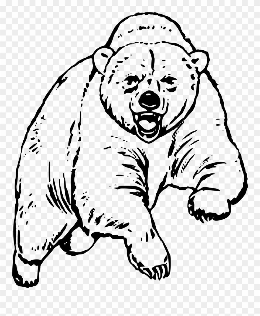 This Free Icons Png Design Of Big Bear Clipart