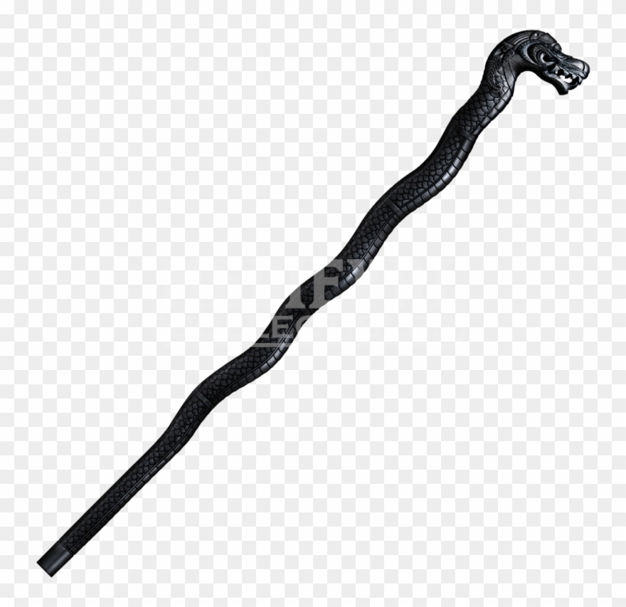 Walking Stick Png File - Leg Of A Spider Clipart