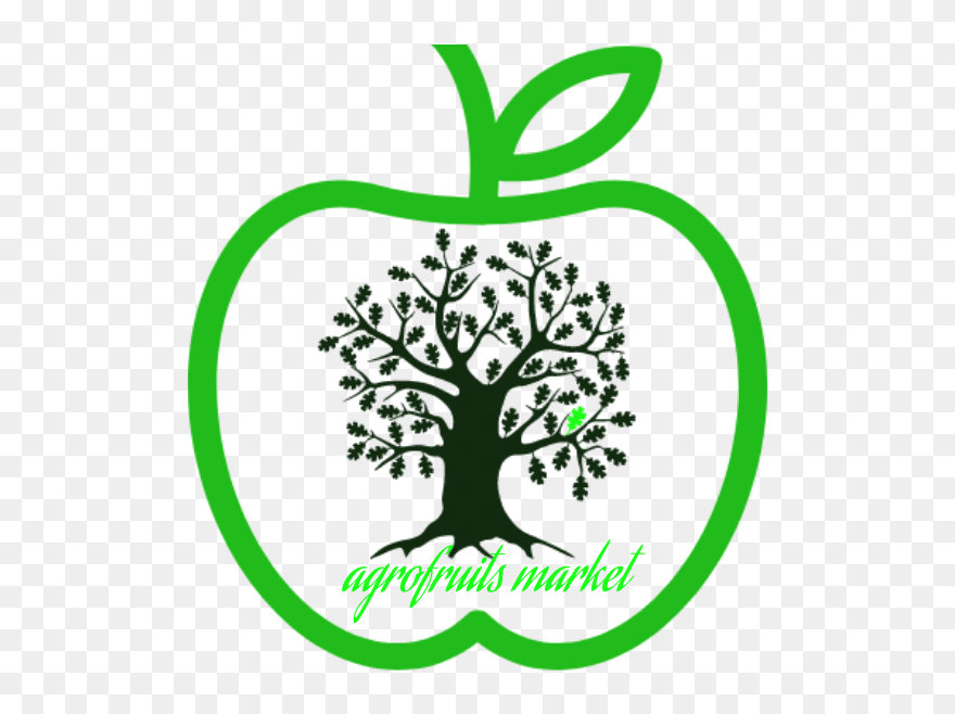 Agro Fruits Markets Clipart