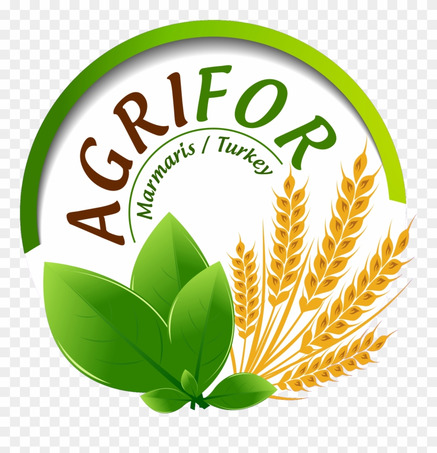 Welcome To The Official Site Of "international Congress - Illustration Clipart