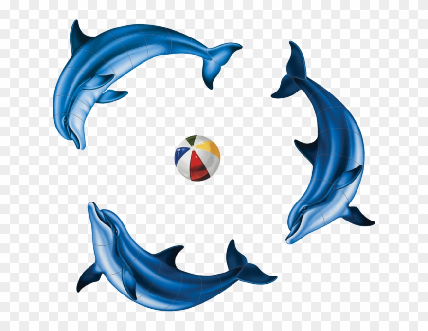 Porc Dg35 6 Dolphin Group Porcelain Pool Mosaic - Bottlenose Dolphin Clipart