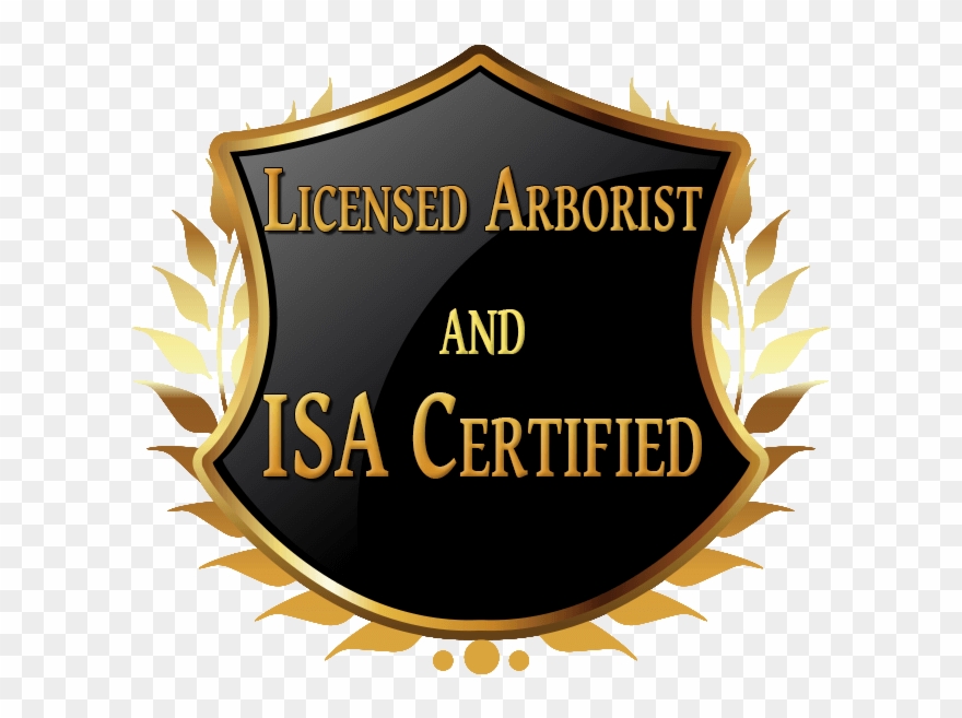 The Emergency Tree Service You Can Trust - 85212 Clipart