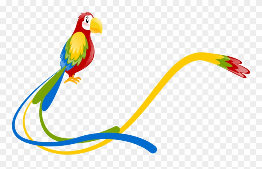 All Tapes - Macaw Clipart