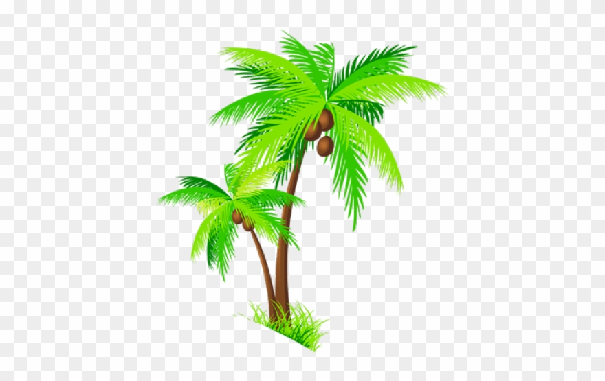Palm Tree Clipart Realistic - Coconut Tree Clipart Png Transparent Png