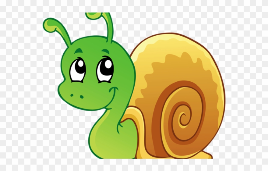 Mollusc Clipart Owl - Cartoon Picture Of Snail - Png Download