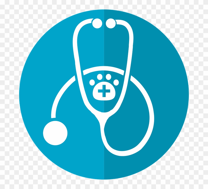 Vet Icon - Petsoholic - Petsoholic - Icon Primary Care Physician Clipart