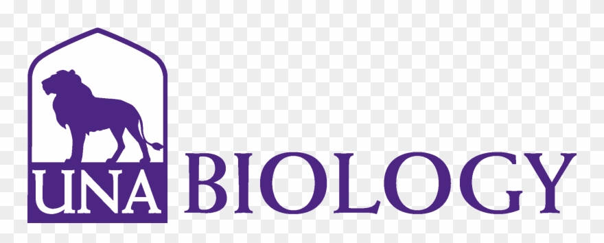 College Of Arts And Sciences - University Of North Alabama Clipart