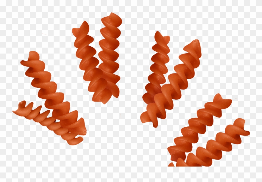 Penne Lenticchie Rosse - Illustration Clipart