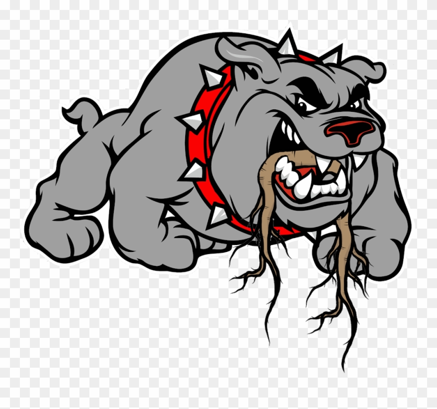 Reinstating Tools - Rockdale County High School Logo Clipart