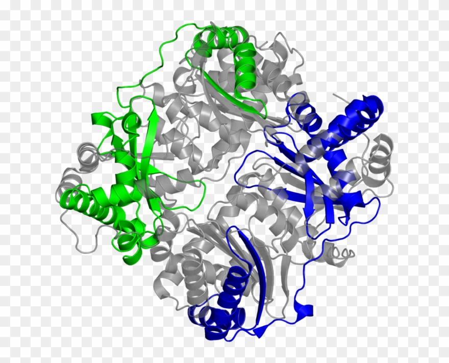 <div Class='caption-body'>2 Copies Of Pfam Domain - Graphic Design Clipart