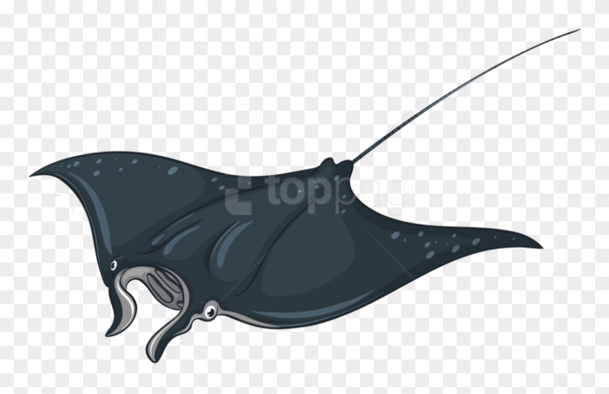 Download Skate Fish Clipart Png Photo - Manta Clipart Ray Fish Transparent Png