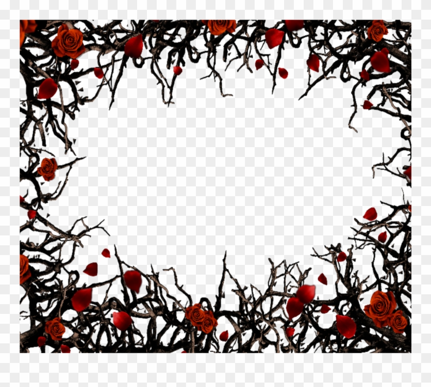 Mq Red Black Roses Gothic Frame Frames Border Borders - Thorny Vines With Roses Clipart
