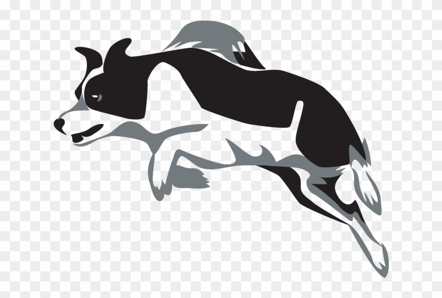 Jumping Border Collie Logo Clipart