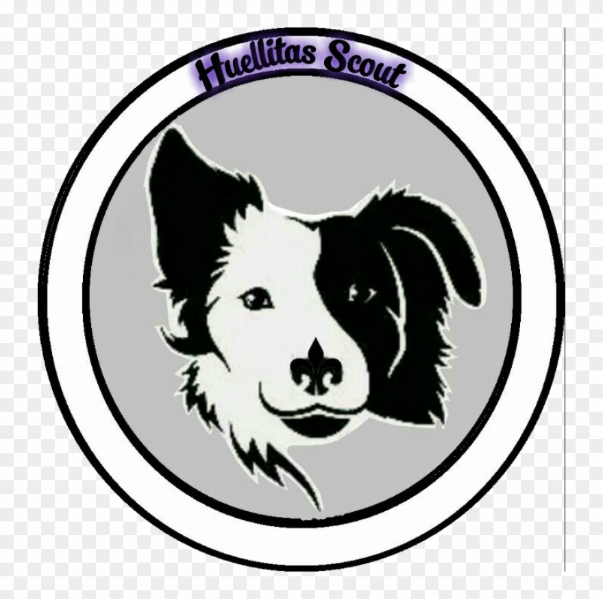 Border Collie Face Clipart - Png Download