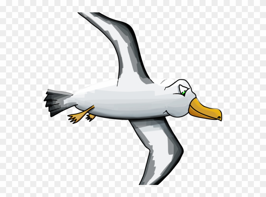 About The Event - Albatross Clipart