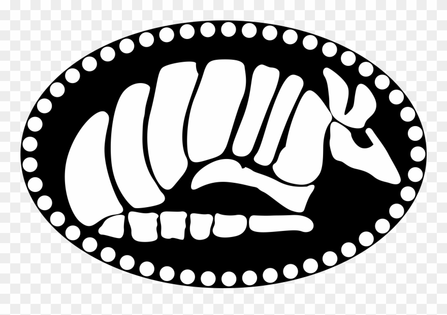 Welcome To Blind Armadillo Guitars - Elementary Avid Avid Bulletin Board Clipart