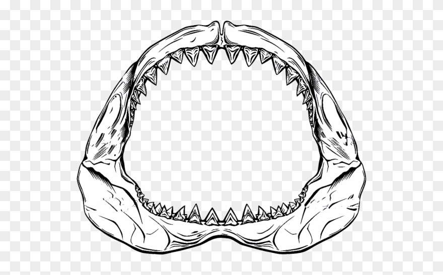 Drawn Shark Jaws Shark - Drawing Of Shark Jaws Clipart