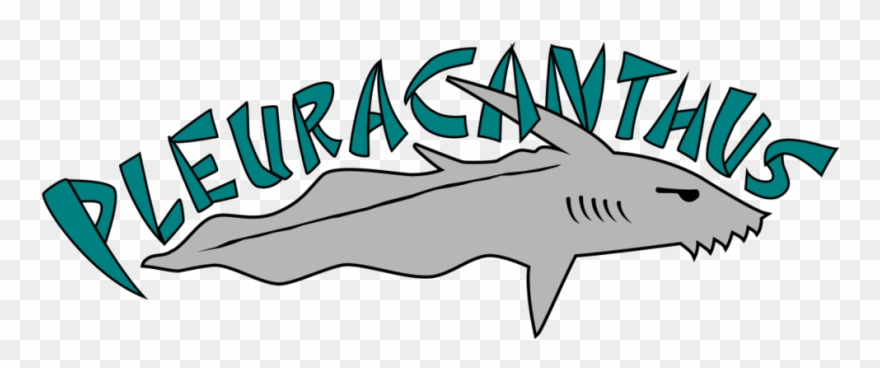 About Pleuracanthus Records Ⓒ Clipart