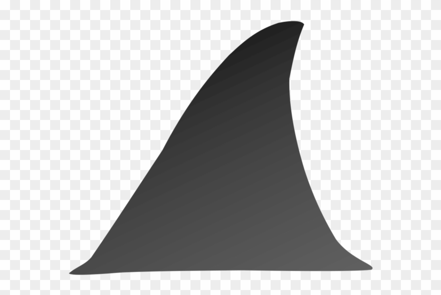 Fins Clipart Shark Fin - Shark Fin Art Black And White - Png Download