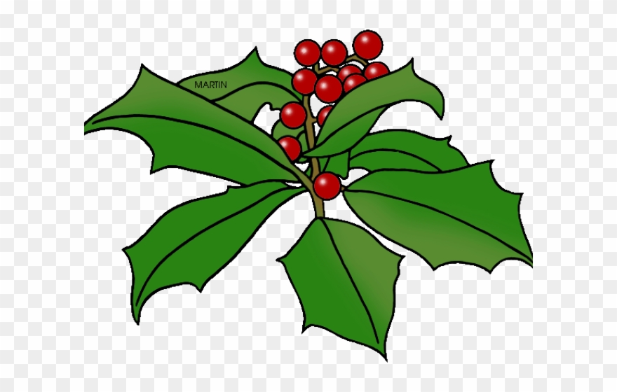 Holley Clipart Holly Branch - Png Download