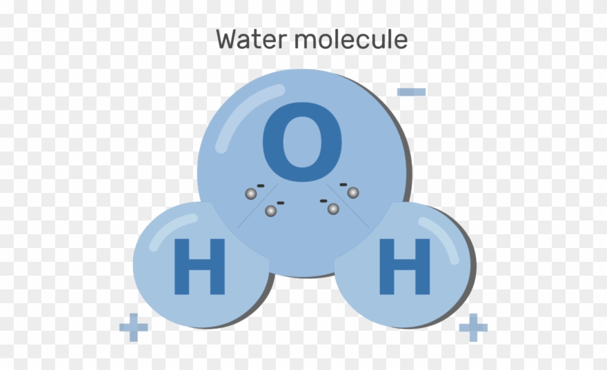 An Image Showing Polarizing Water Molecules Process - Chemical Property Transparent Clipart