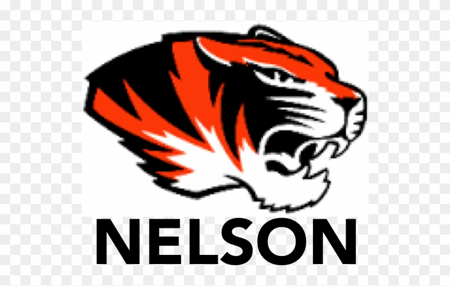 01 Jul 2018 - Missouri Tigers Transparent Clipart