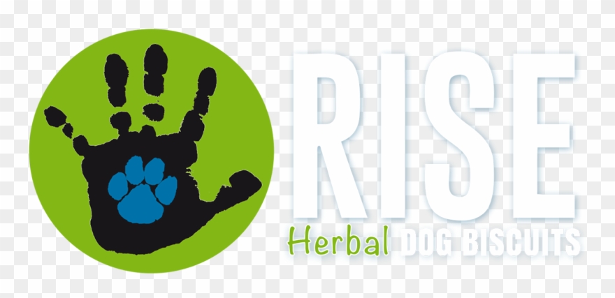 Rise Biscuits - Graphic Design Clipart