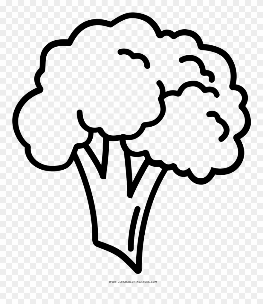 Broccoli Coloring Page - Broccoli Easy To Draw Clipart