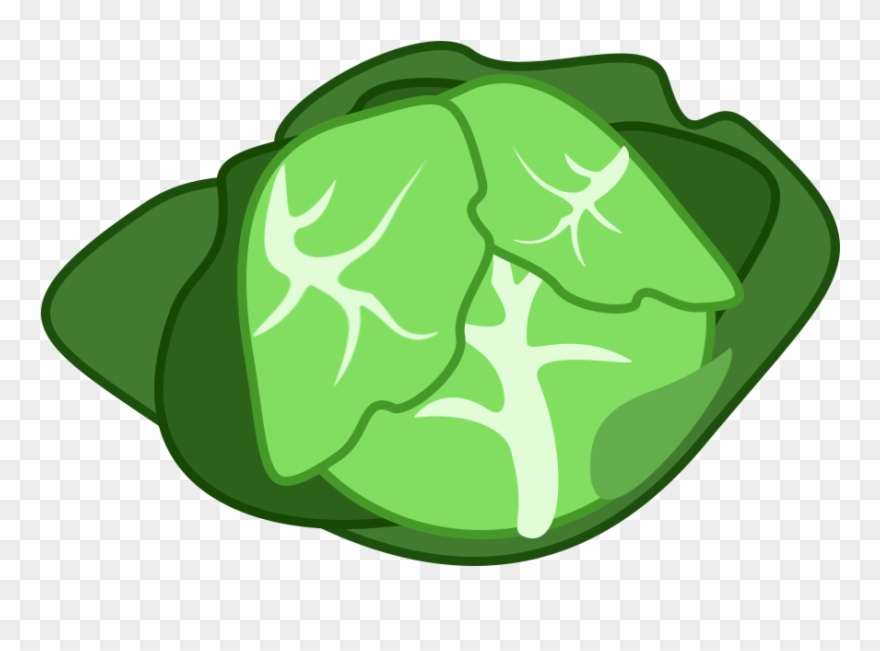 Cabbage - Emblem Clipart