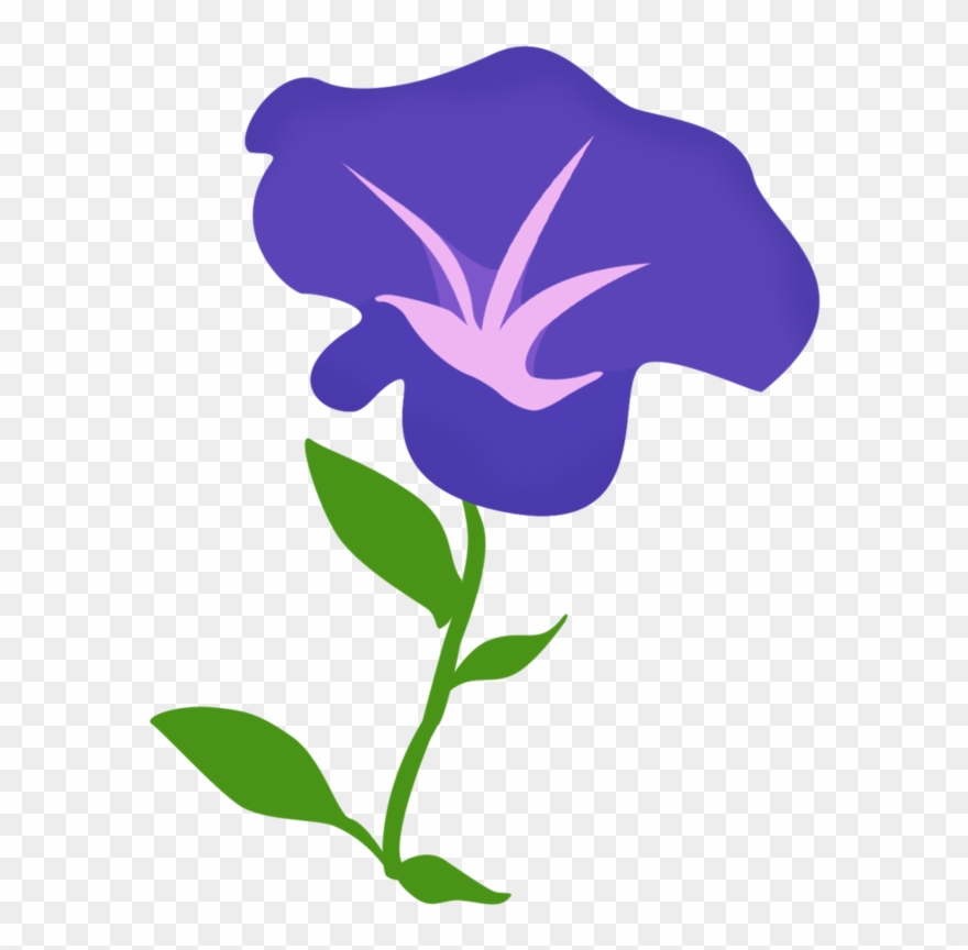 Morning Glory Png - Morning Glory Flower Vector Clipart