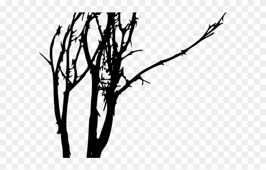 Dead Tree Clipart Reference - Twig - Png Download