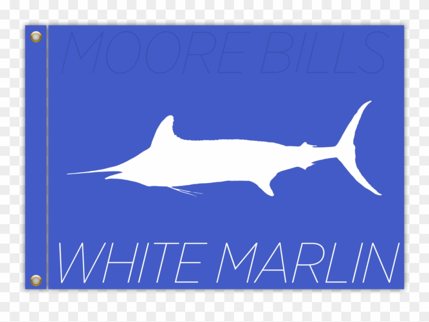 0 Comments - Swordfish Clipart