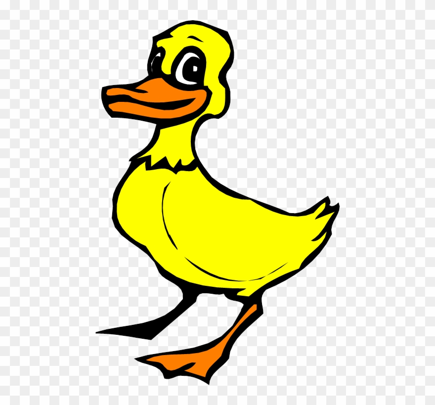 Stories For Grandparents & Grandchildren - Do Ducks Have Webbed Feet Clipart