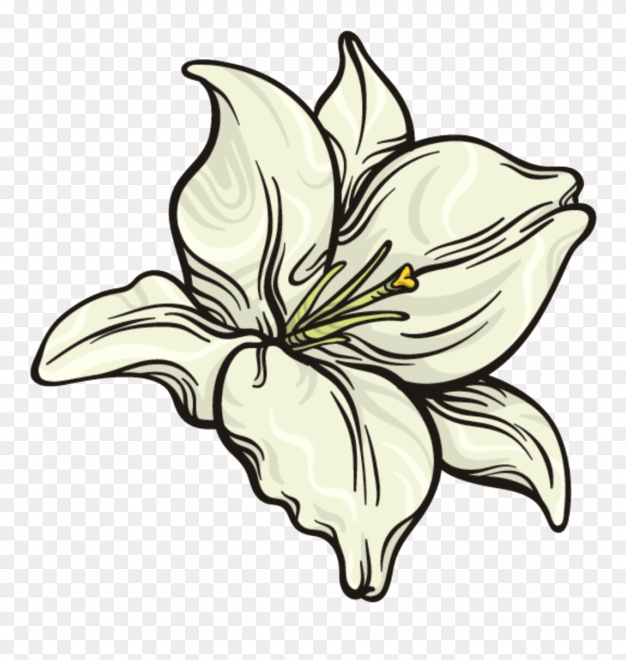 This Graphics Is Snow White Flower Png Transparent Clipart