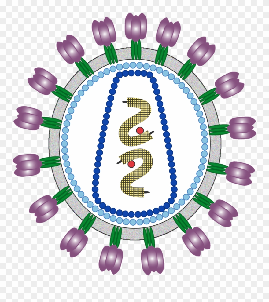 Hiv - Recent Developments In Hiv Treatment Clipart