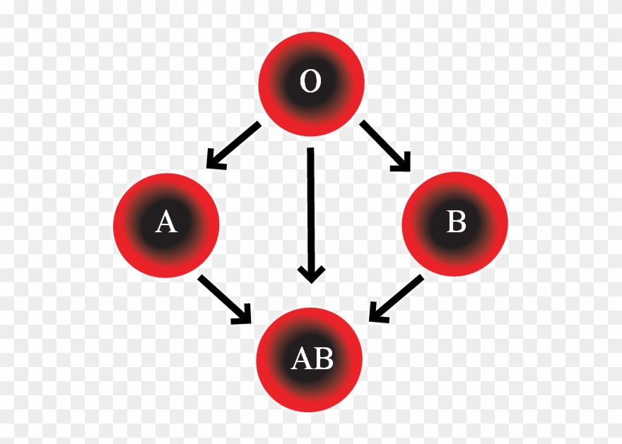 Abo Blood Group System - Four Blood Types Clipart