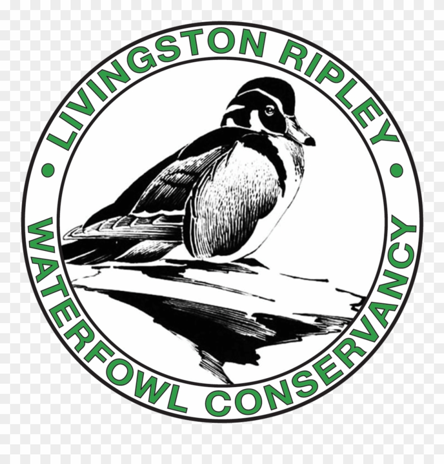 Give Local Greater Waterbury And Litchfield Hills - Department Of Energy Clipart