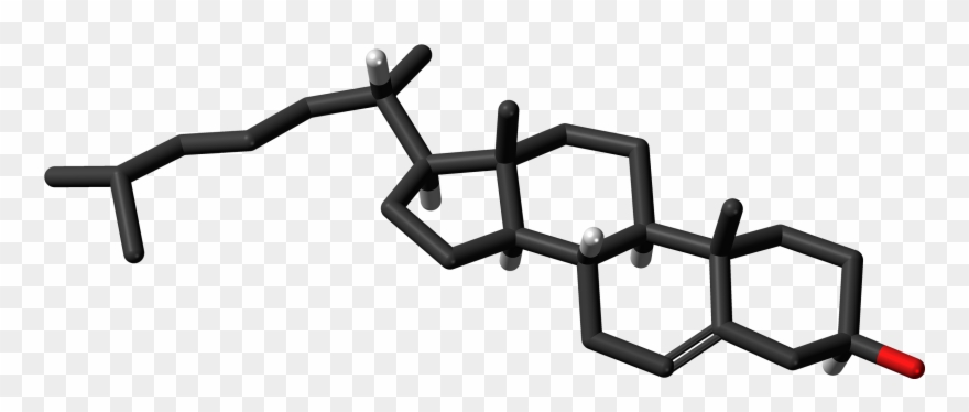 Ent-cholesterol Molecule Skeletal Clipart