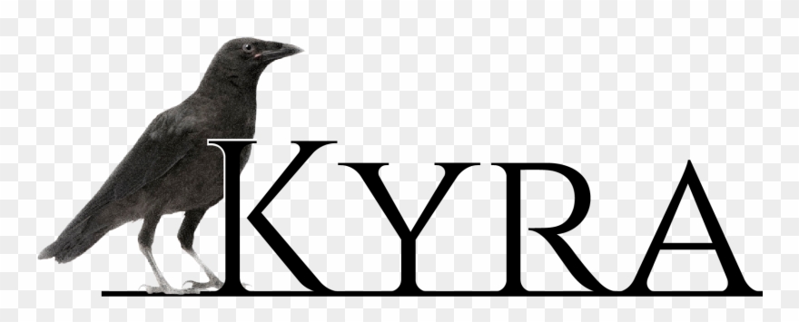 Odd Positivity - American Crow Clipart